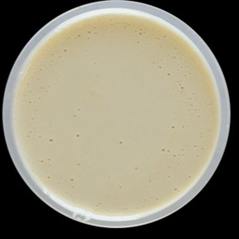 Delicious Tahini Dishes