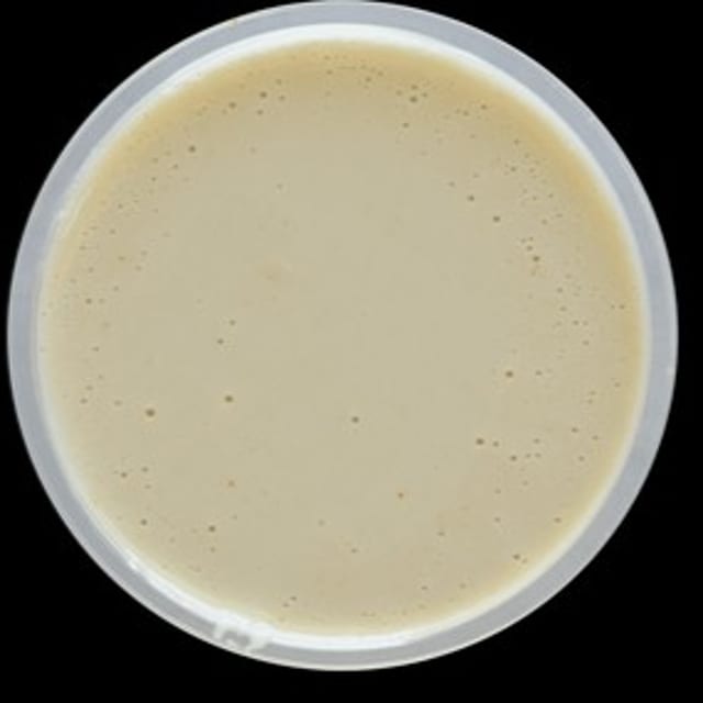 Side Tahini Sauce.